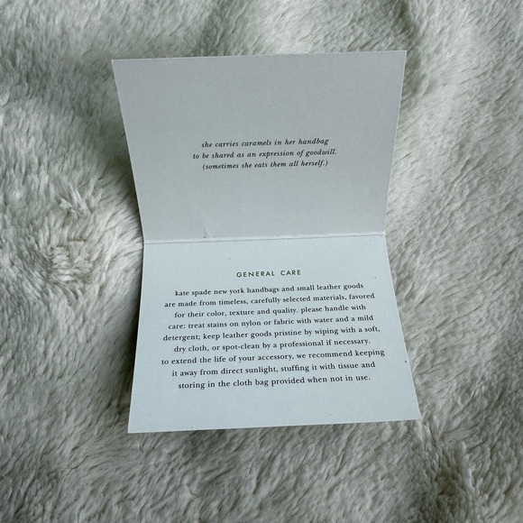 Kate Spade - Green Bag with Plaid Inside - Picture 9 of 13